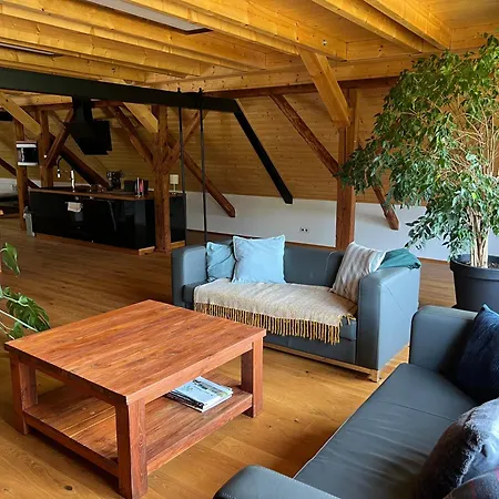Typu Loft Horovicky